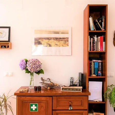 Sunny Place- Walking Distance To The Beach